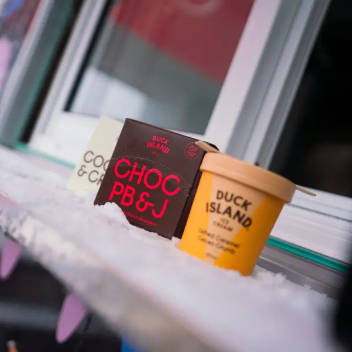 Duck Island ice cream and chocolate packaging nestled in snow.